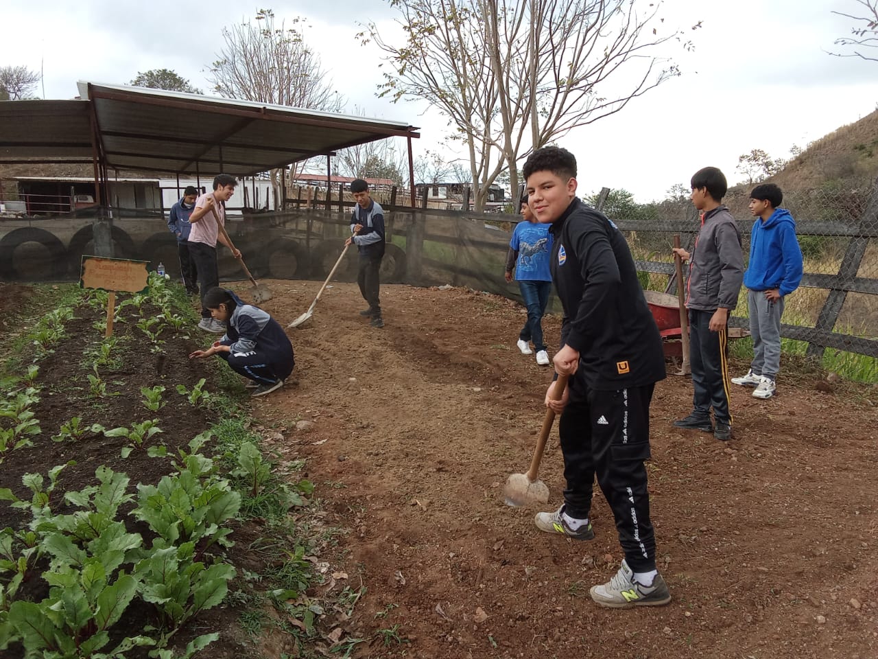 Agricultural education